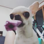 김생강 - @gingerkim14 - Instagram
