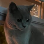 Gingerkim - @gingerkim38 - Instagram