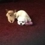 Ginger Kinney - @ginkinney - Instagram