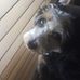Ginger Kirkpatrick - Facebook