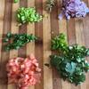 GingerzKitchen - @gingerzkitchen - TikTok