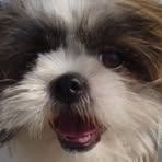 Ginger Koehler - Facebook