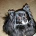 Ginger Walsh-Krueger - Facebook