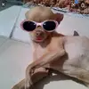 emma langford - @sad_ginger_hours2 - TikTok