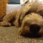 Ginger Langford - Facebook