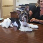 Ginger Latham - @always_ginger62 - Instagram