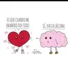 gingera - @gingeralaw - TikTok