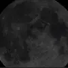 GingerLawrenceOleary - @gingertea2009 - TikTok