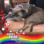 Ginger Gard Lester - @gingergardlester - Instagram