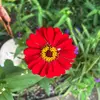 Ginger_McAlester - @gingermcalester - TikTok
