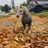 Ginger_Light._Stables - @ginger_light._stables - TikTok