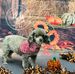 Ginger Nieders - Facebook