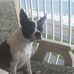 Ginger Lockhart - Facebook