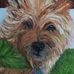 Virginia Lockhart - Facebook