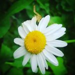 Ginger Long - @gingerlong67 - Instagram