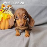 Ginger Long - @gingerlong5291 - Instagram
