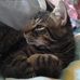 Ginger Lutz - Facebook