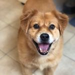 Ginger Lyons - @ginger.lyons - Instagram