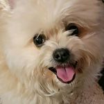Ginger Manning - @ginger.manning - Instagram