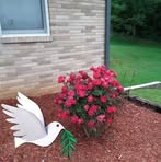 Ginger Mcclure - Facebook
