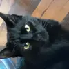 Ginger McGill - @ginger.mcgill - TikTok