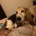 Ginger Mcneely - Facebook