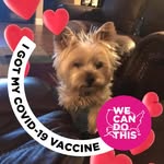 Ginger L Meier - @gspice75 - Instagram
