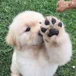 no name - @gingermoormeier - Instagram