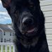 Ginger Meyers - Facebook