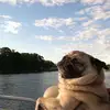 Ginger  Moeller - @gingermoeller - TikTok