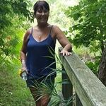 Ginger Nicholas - @ginger.nicholas.7 - Instagram