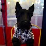 Ginger Menne - @the_ginger_pack - Instagram