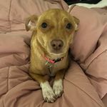 GINGER “MAMA CHI” PARSONS - @ginger_aka_snowwhite - Instagram