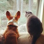 Ginger Parsons - @thedoctorginger - Instagram