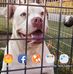 Ginger Perry - Facebook