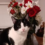Ginger Denise Merlo Pickett - @gdp42556 - Instagram