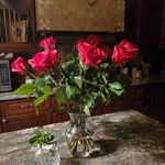 Ginger Pickett - @gpickettvbhomes - Instagram