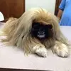 Ginger Pickett - @ginger.pickett - TikTok