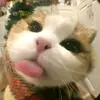 TapMe - @gingerpick - TikTok