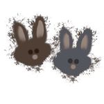 Ginger & Poe - @gingerandpoebun - Instagram