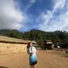 Ginger - @ginger.poe3 - TikTok