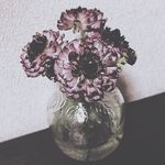 Sheena Kugawa - @ginger_poem28 - Instagram