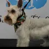 Ginger Ramirez178 - @gingerramirez178 - TikTok