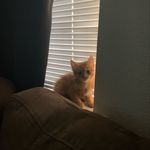 Ginger Ramirez - @559_ginger - Instagram