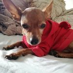 Ginger Ramirez Reyes - @gingersit_bont - Instagram