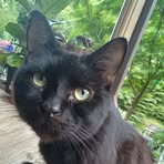 Ginger Ratliff - Facebook