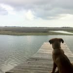 Daniel Raulerson - @gingerbreaddan - Instagram