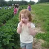 Gingerbread - @oliviamccarrick - TikTok