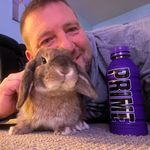 Ginger & Reece - @1bun1dog - Instagram