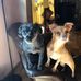 Ginger Riddle - Facebook